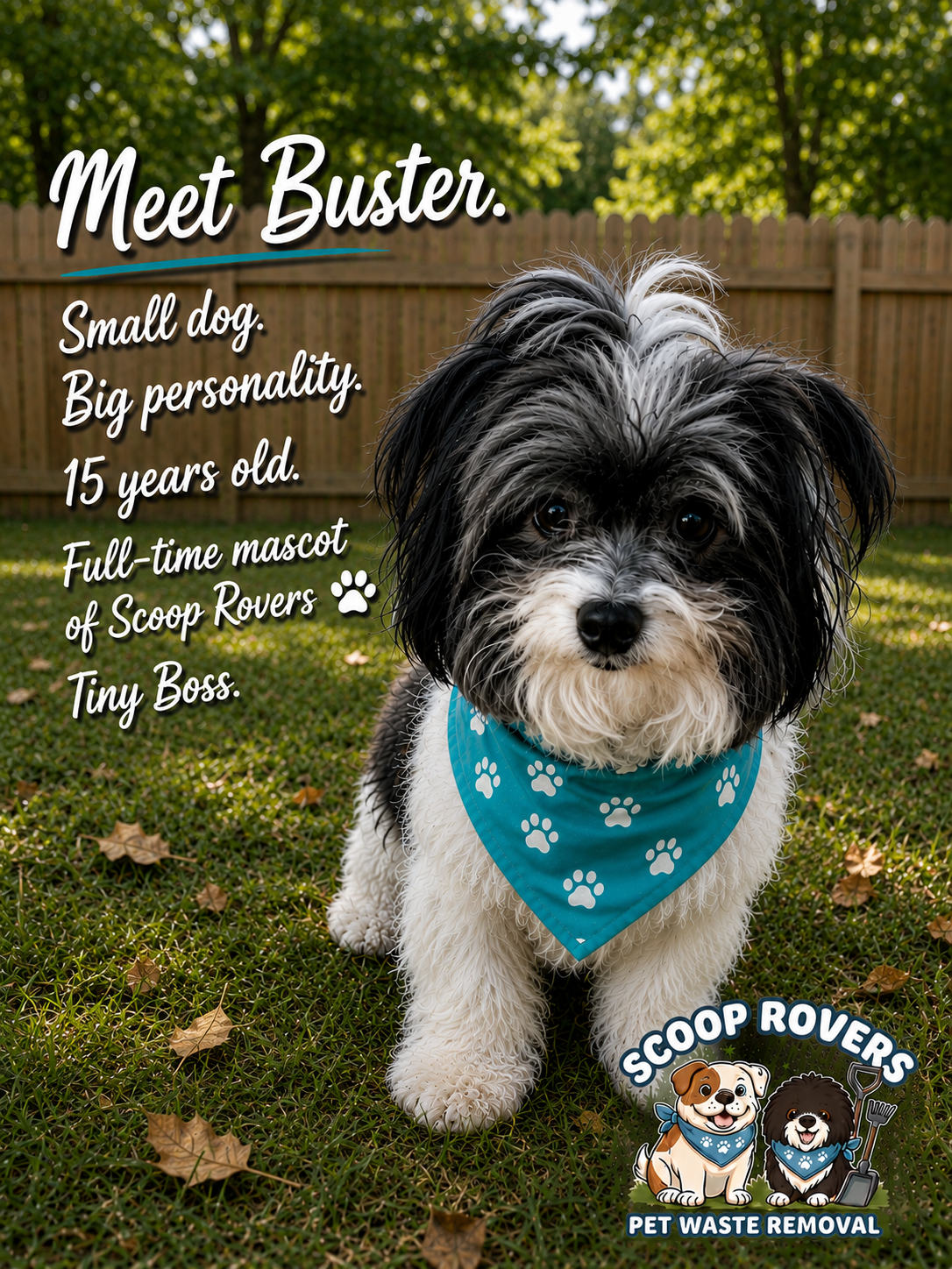 Buster, one of the Scoop Rovers mascot dogs