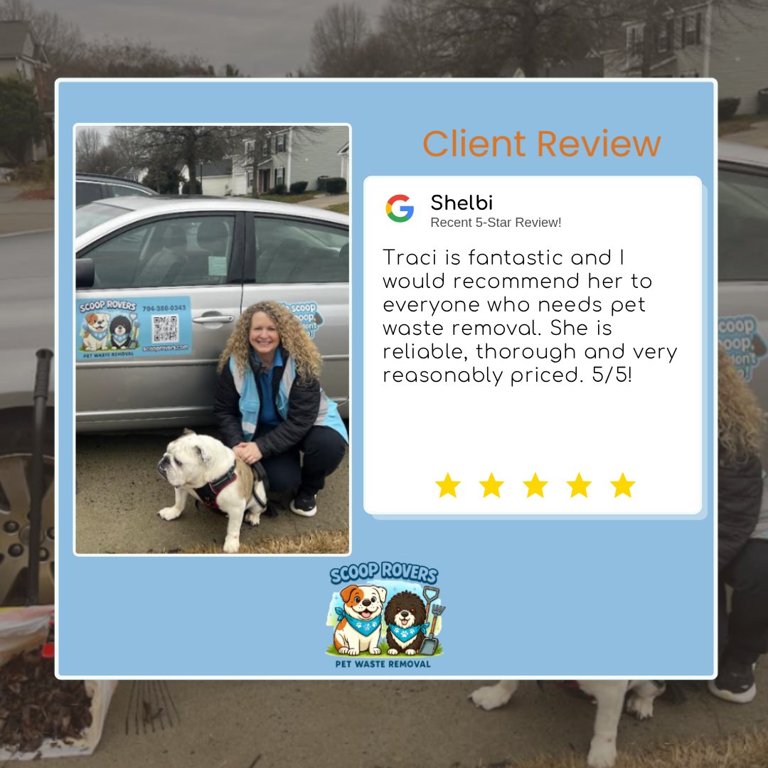 Scoop Rovers customer review