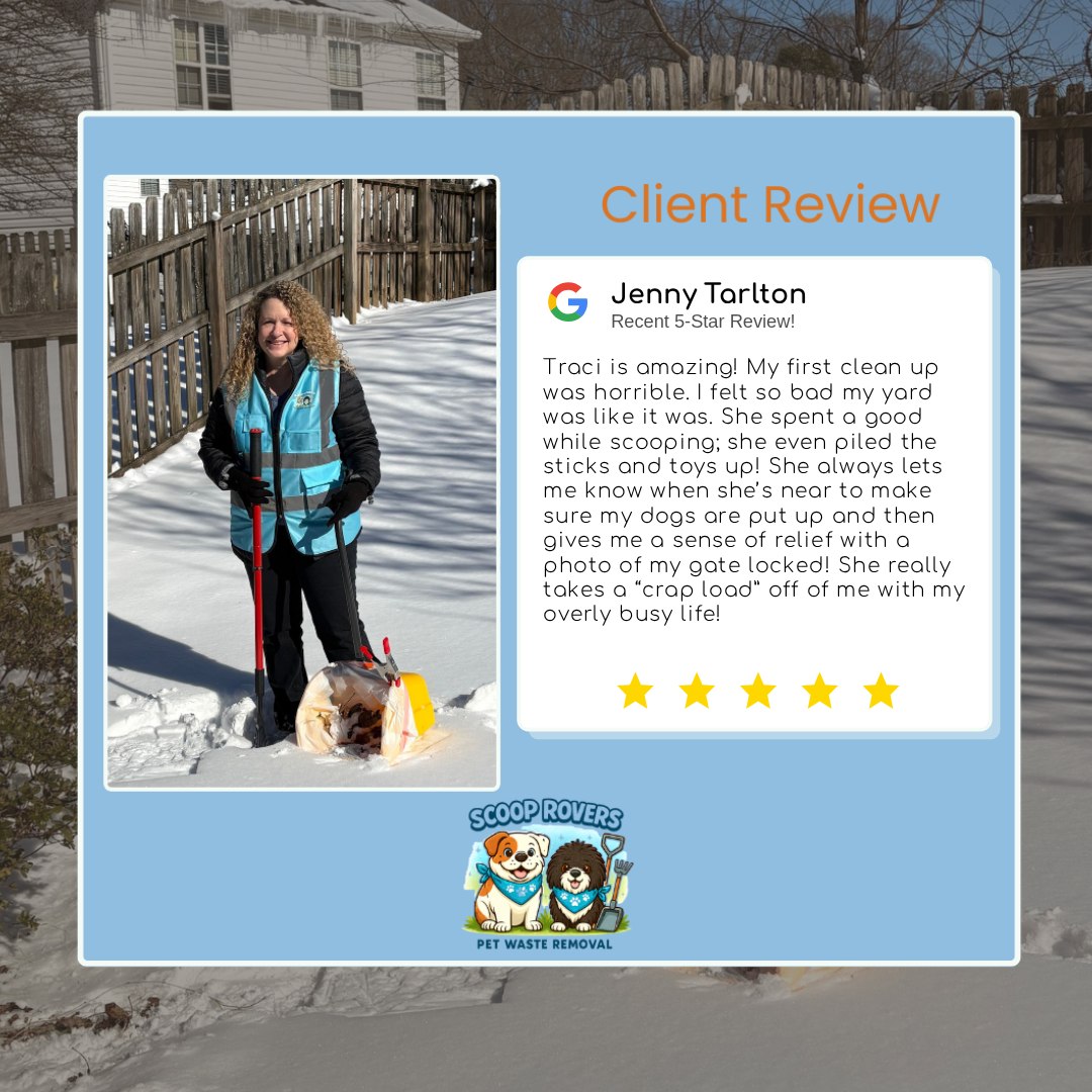 Scoop Rovers customer review