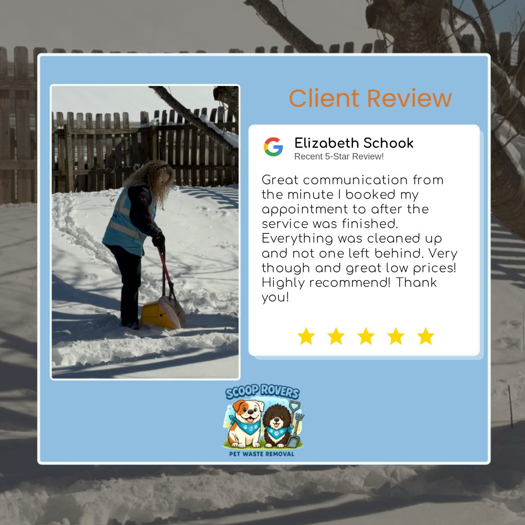 Scoop Rovers customer review